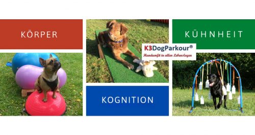 3_Header_K3DogParkour